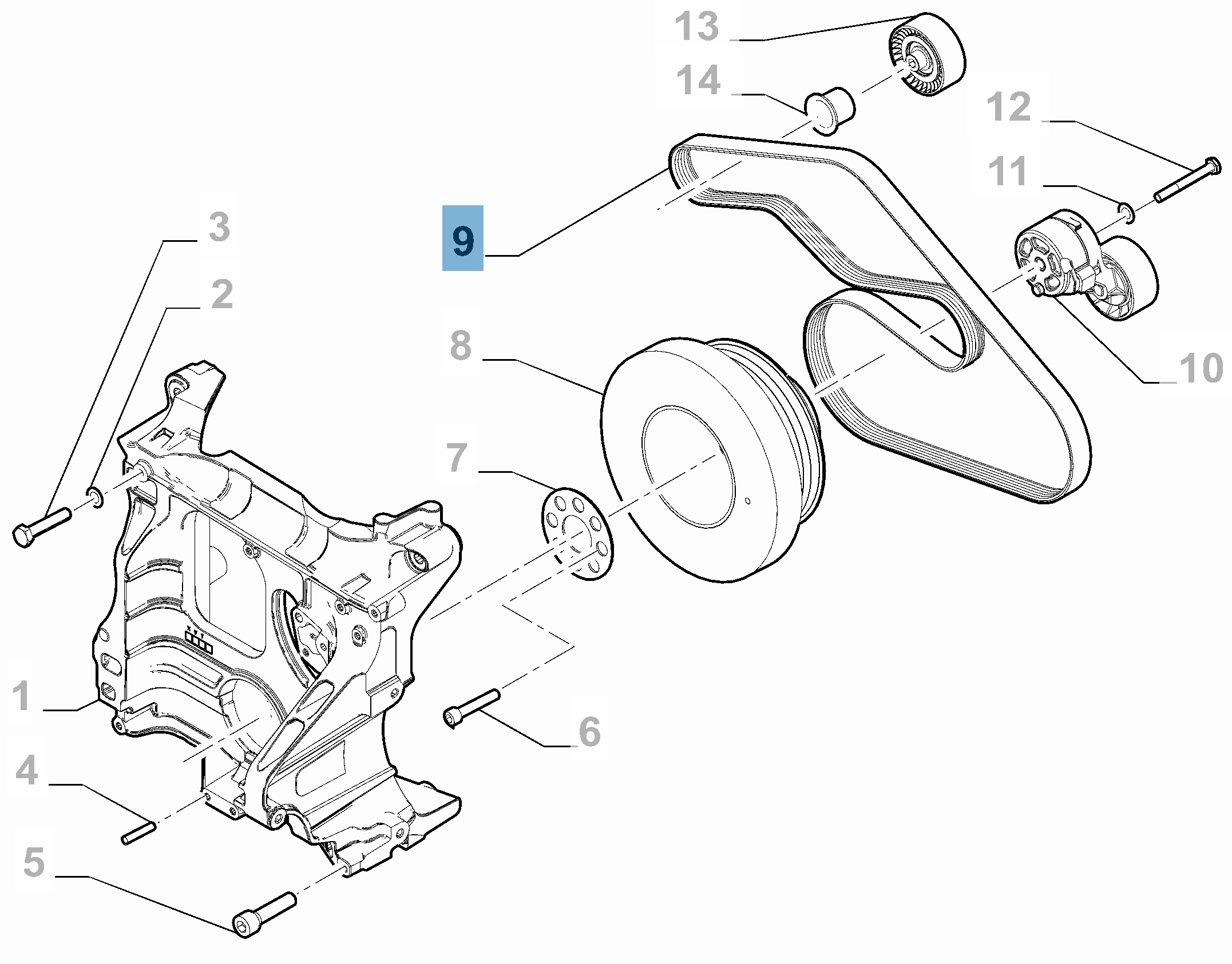 Correa Poly-V  undefined