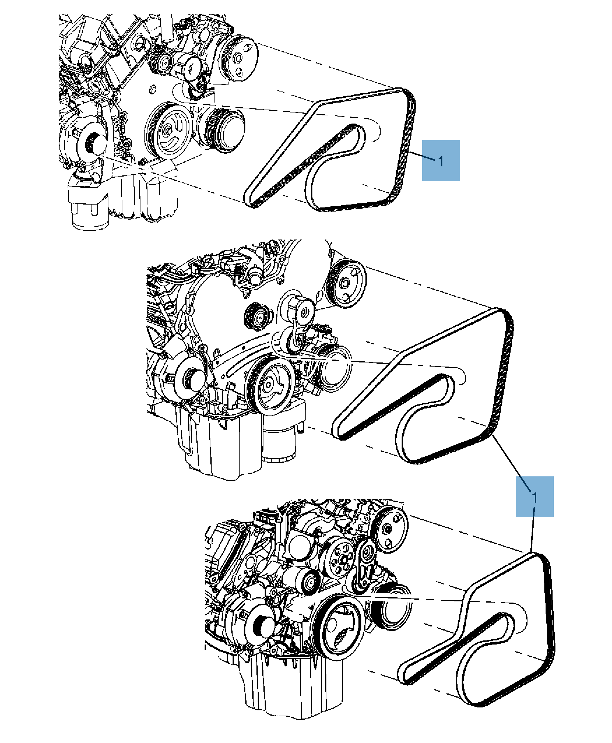 Cinghia Poly-V undefined