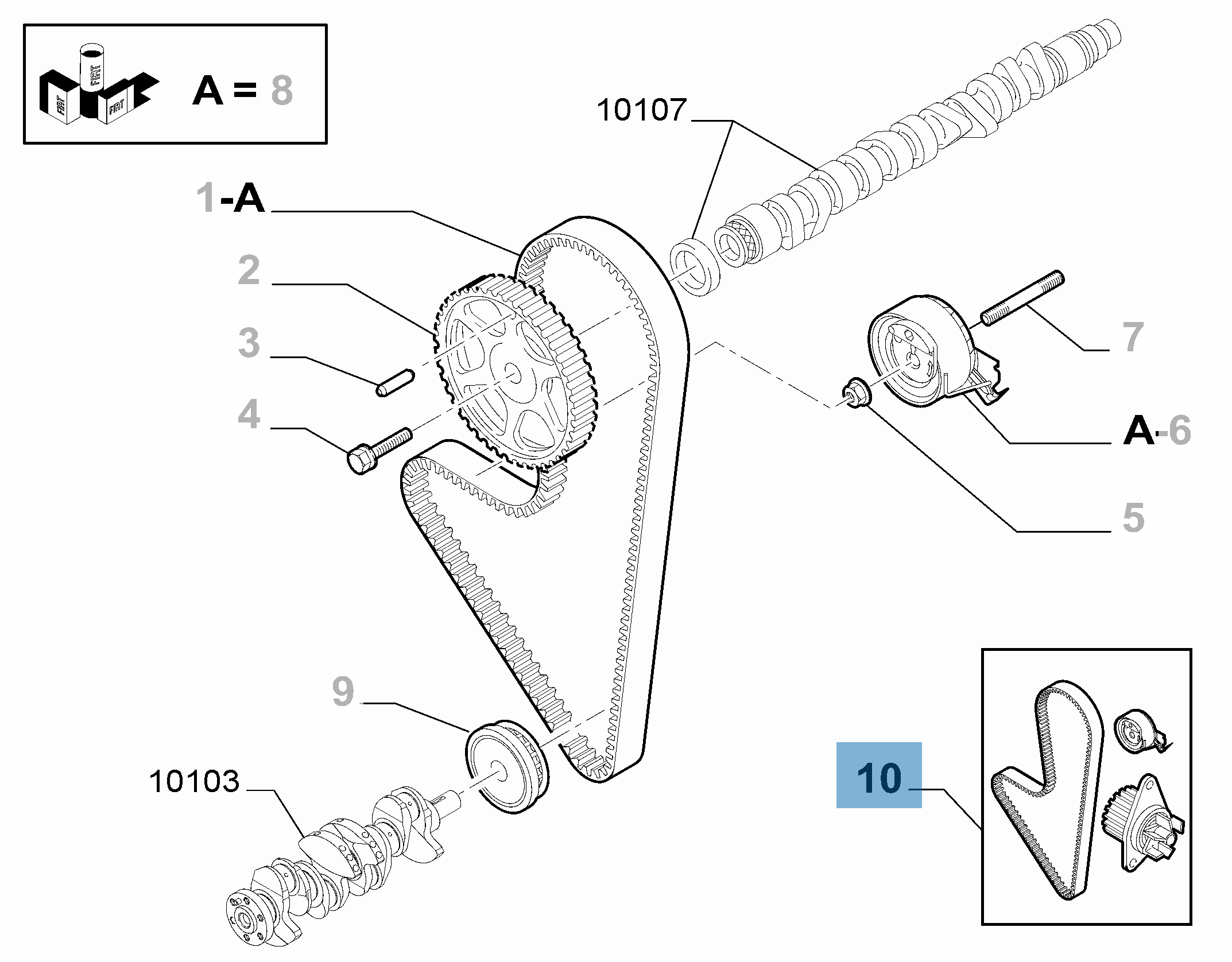 Kit de courroie de distribution avec pompe à eau pour Fiat et Fiat Professional  fiat