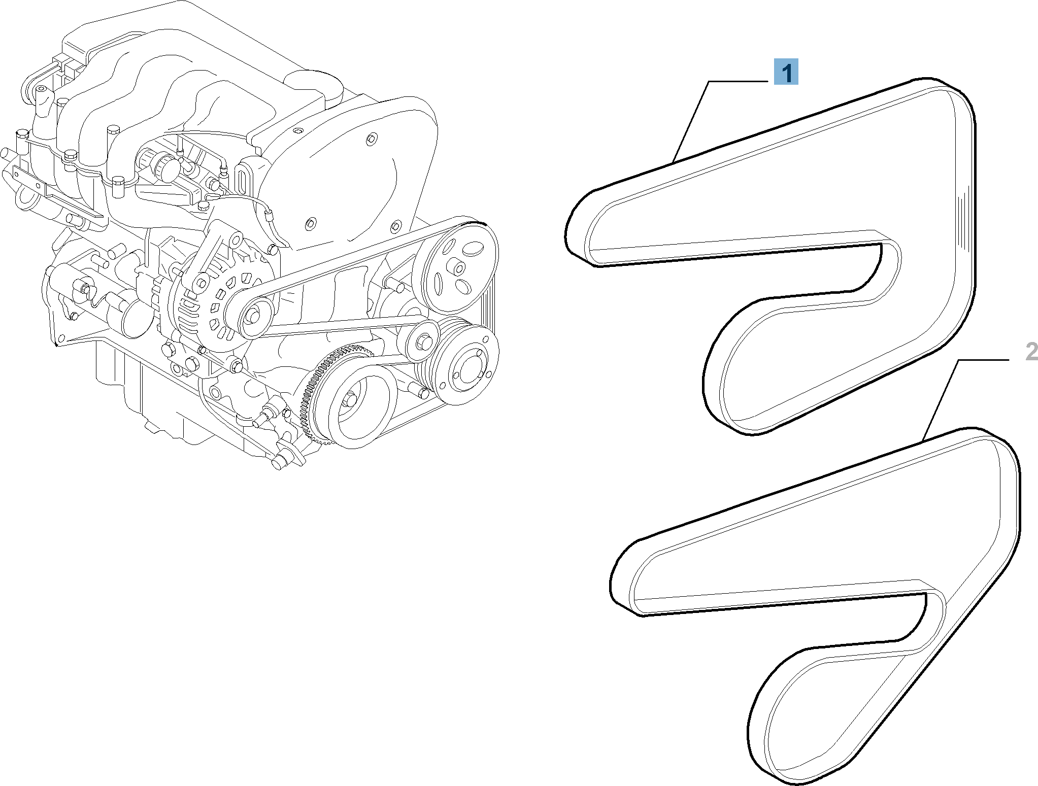 Correa Poly-V  undefined