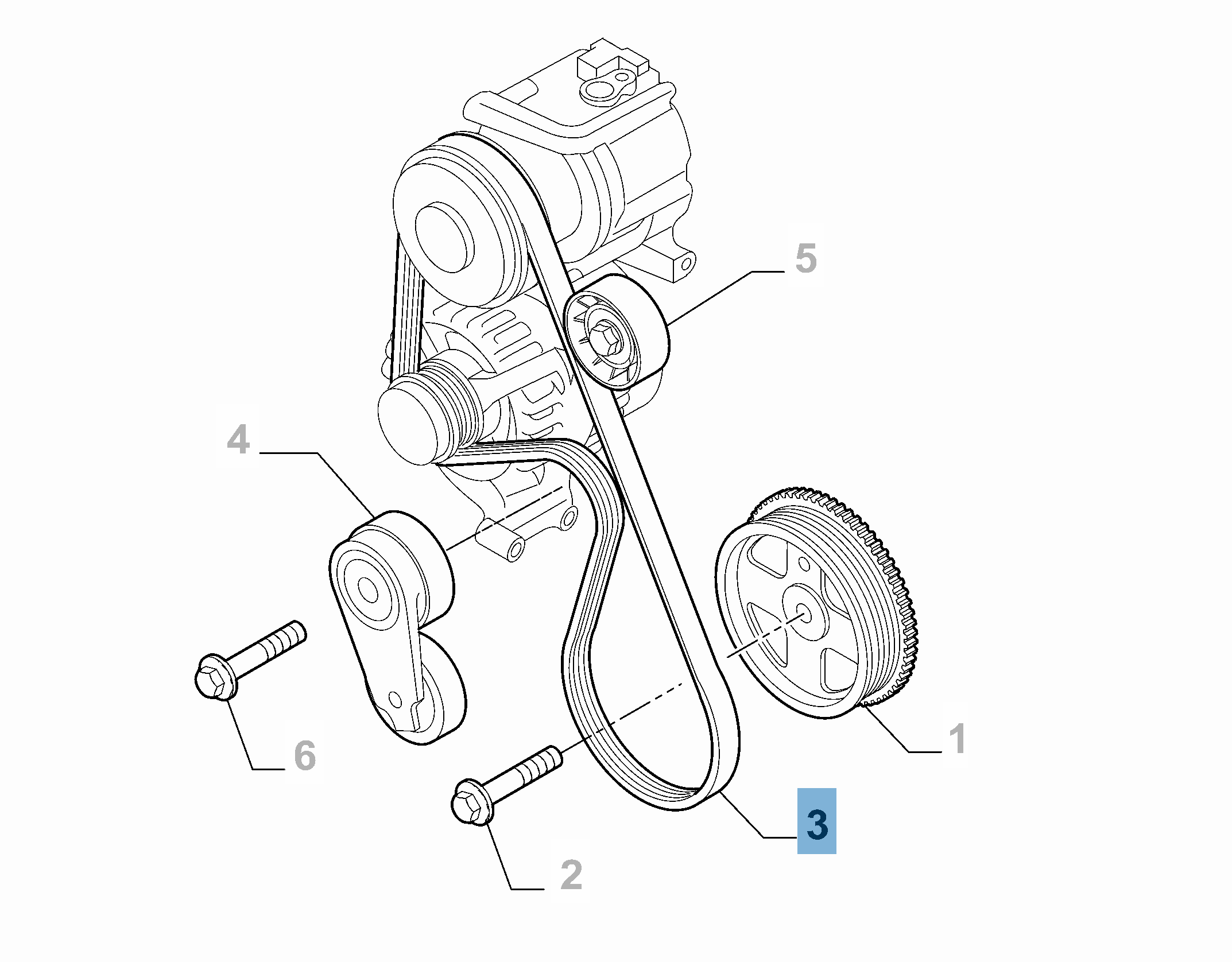 Correa Poly-V  undefined