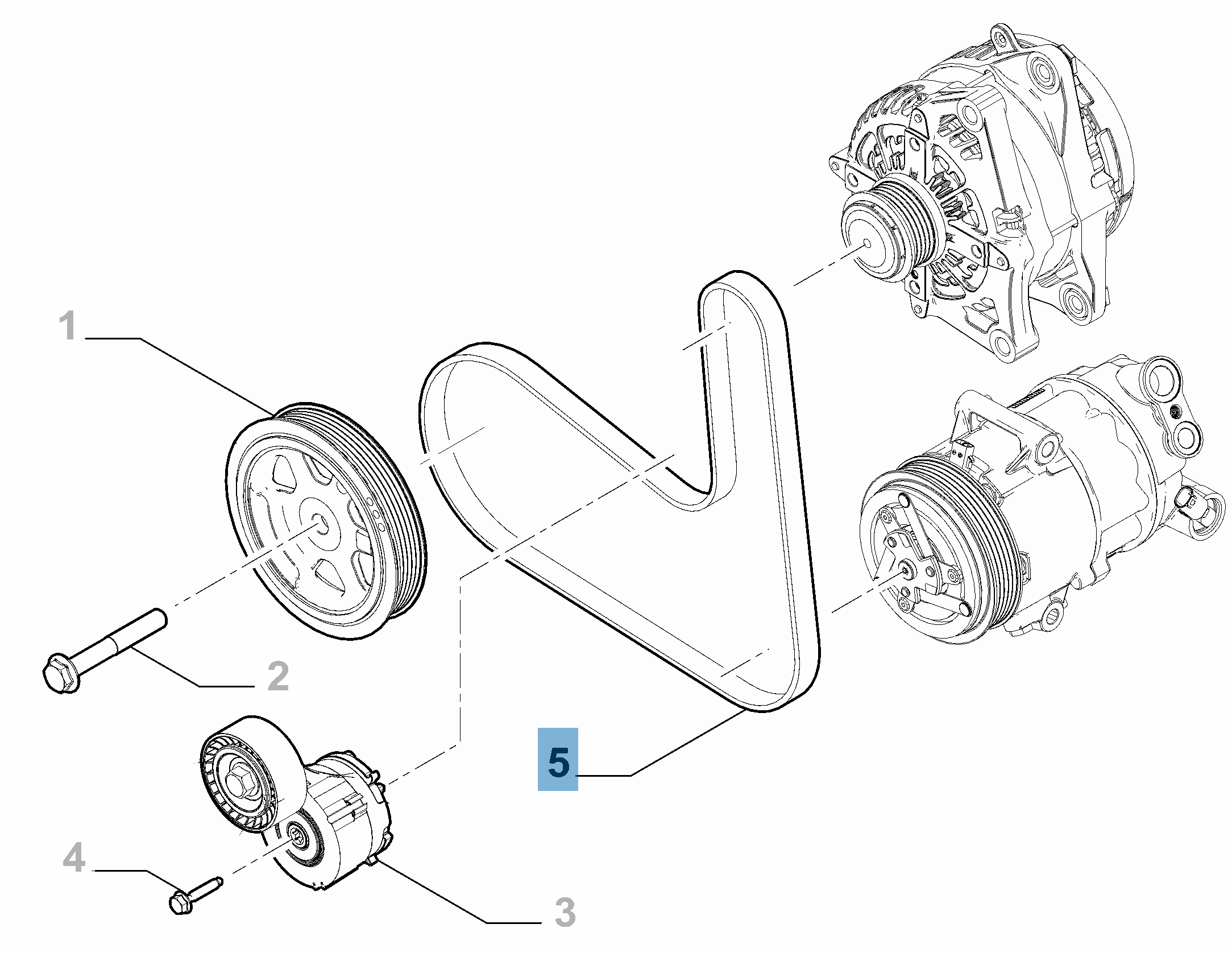 Courroie Poly-V  undefined