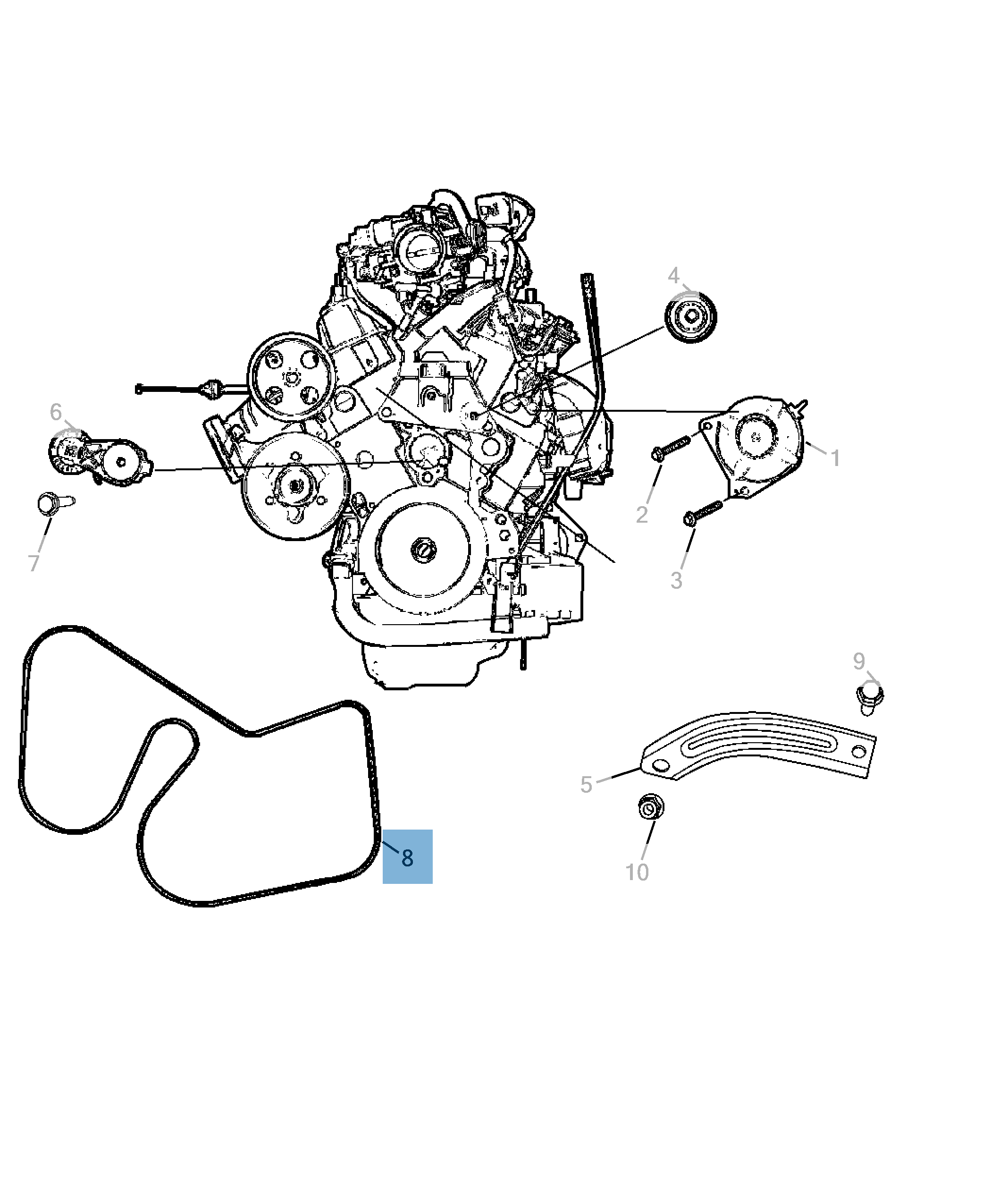 Cinghia Poly-V  undefined