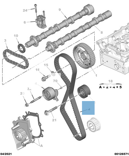 Steuerriemen mit 116 Zähnen für Fiat Professional Scudo undefined