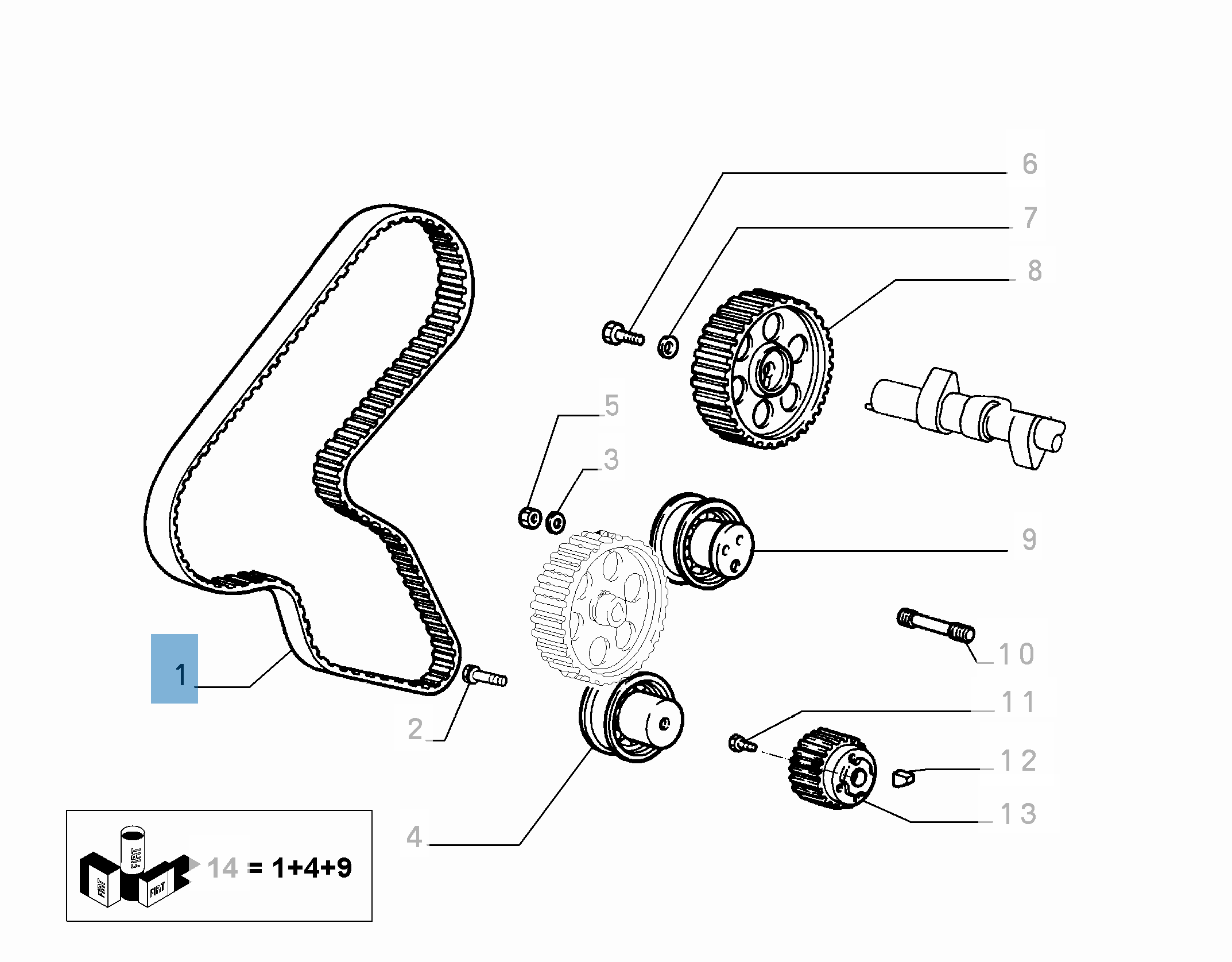 Steuerriemen für Fiat und Fiat Professional  undefined