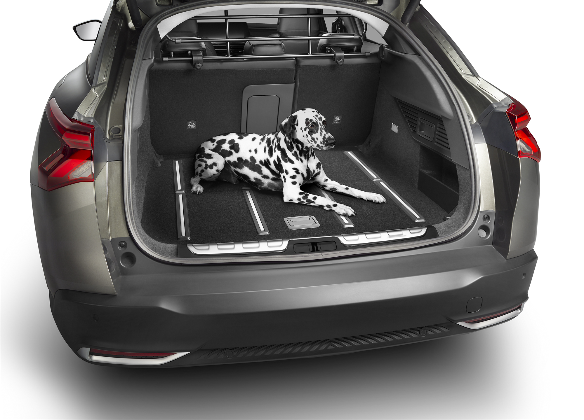 Femuar Organizer Per Bagagliaio Auto Pieghevole - Impermeabile, Grigio, Per SUV E Berlina